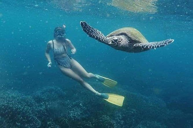 Pigeon Island: The Crystal Cove & Coral Reefs