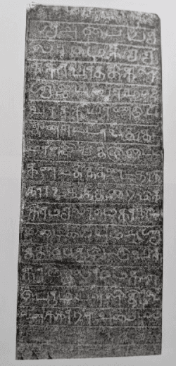 Article photo